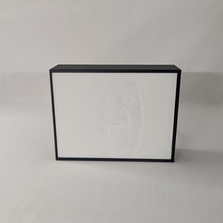 LightMemory - Personalisierte Lithophanie mit LED-Beleuchtung